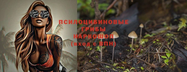 круглые Магас