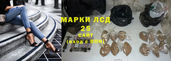spice Магадан
