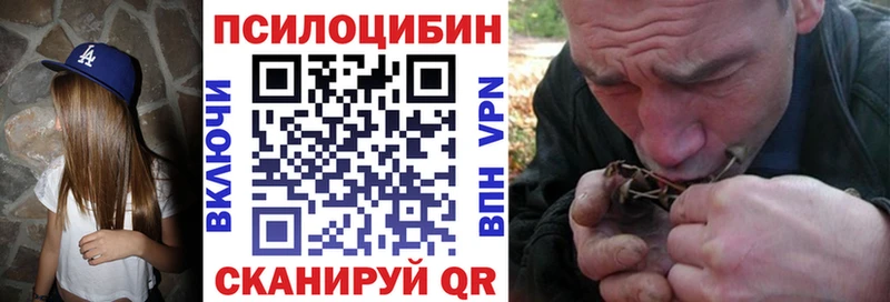 наркотики Нягань Галлюциногенные грибы Cubensis