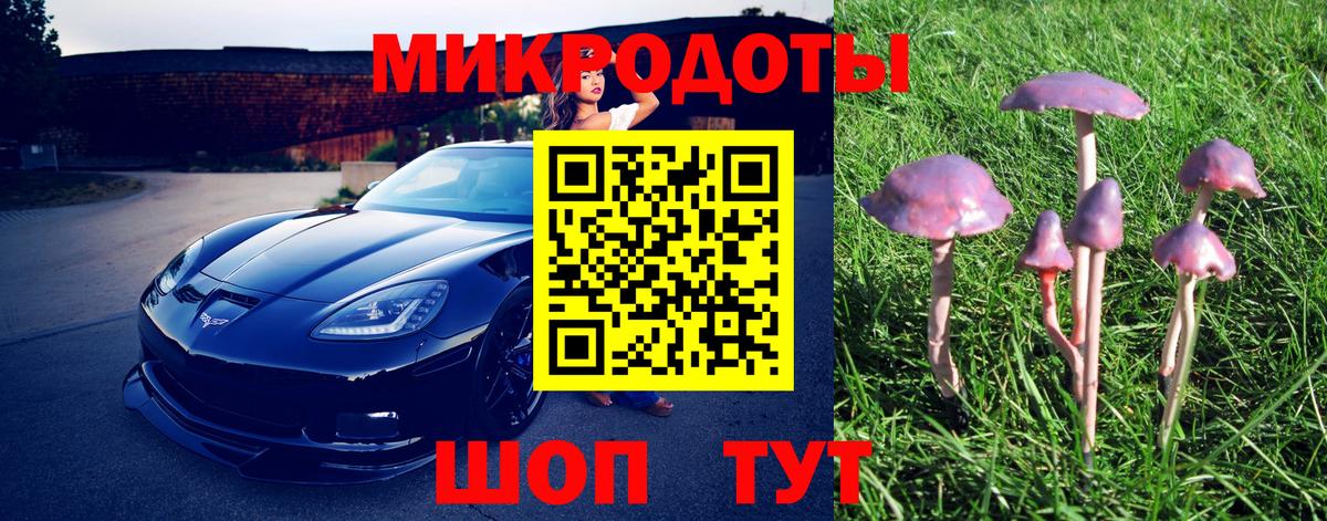 Псилоцибиновые грибы Psilocybe Нягань